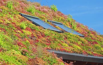 Ampthill living roof systems