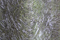 Ampthill fibreglass roof work